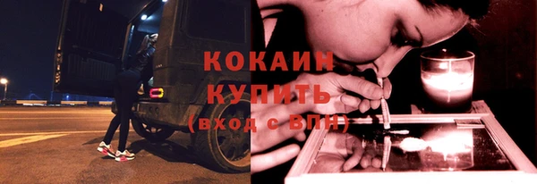 прущие грибы Сатка