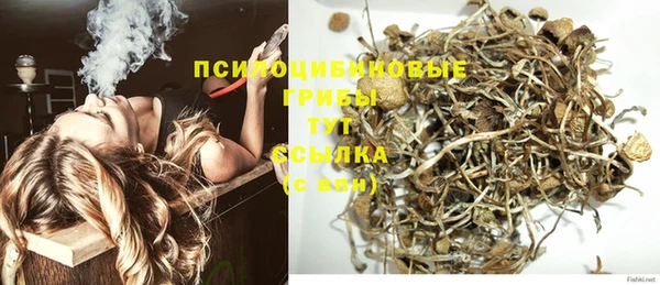 прущие грибы Сатка