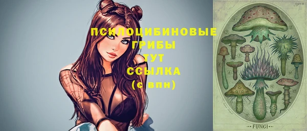 гашик Саяногорск