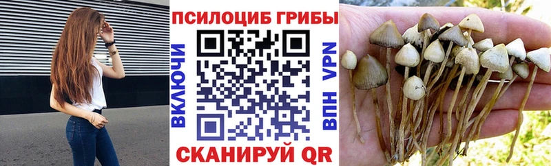 Галлюциногенные грибы GOLDEN TEACHER  купить наркоту  Лесосибирск 