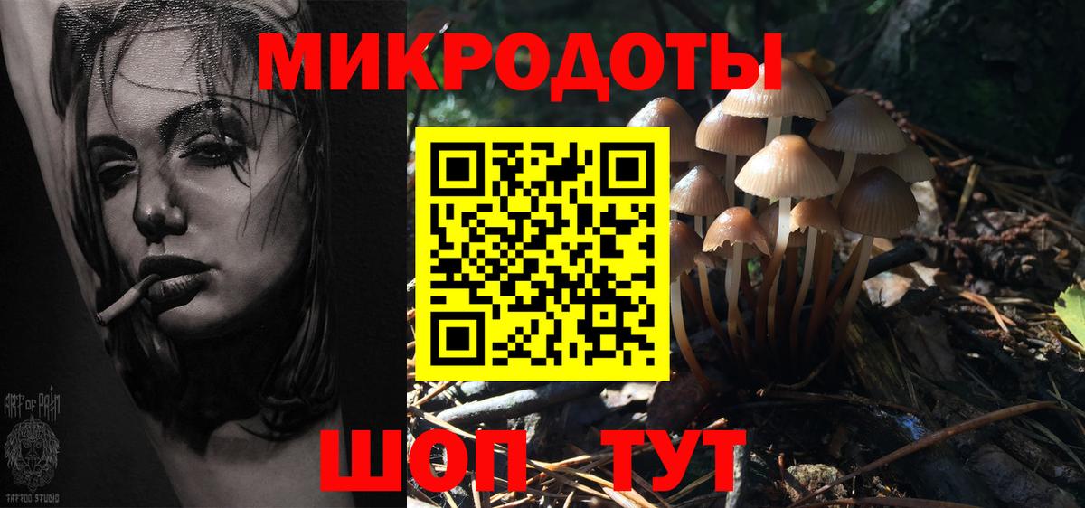 Лесосибирск  Галлюциногенные грибы GOLDEN TEACHER  Галлюциногенные грибы мухоморы  Вход с VPN 